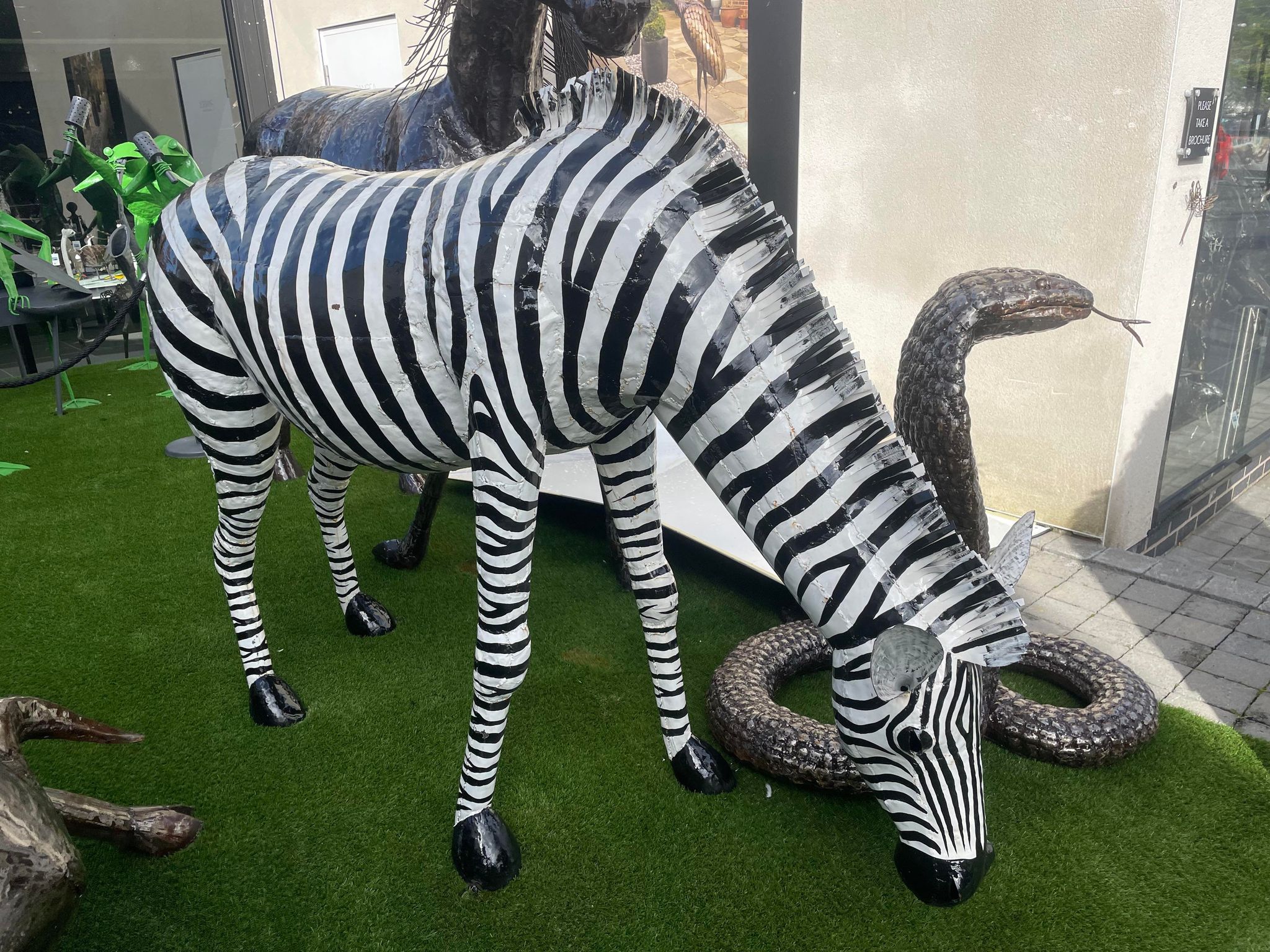 Lifesize Zebra